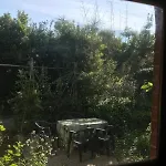 The Little Bird Meta